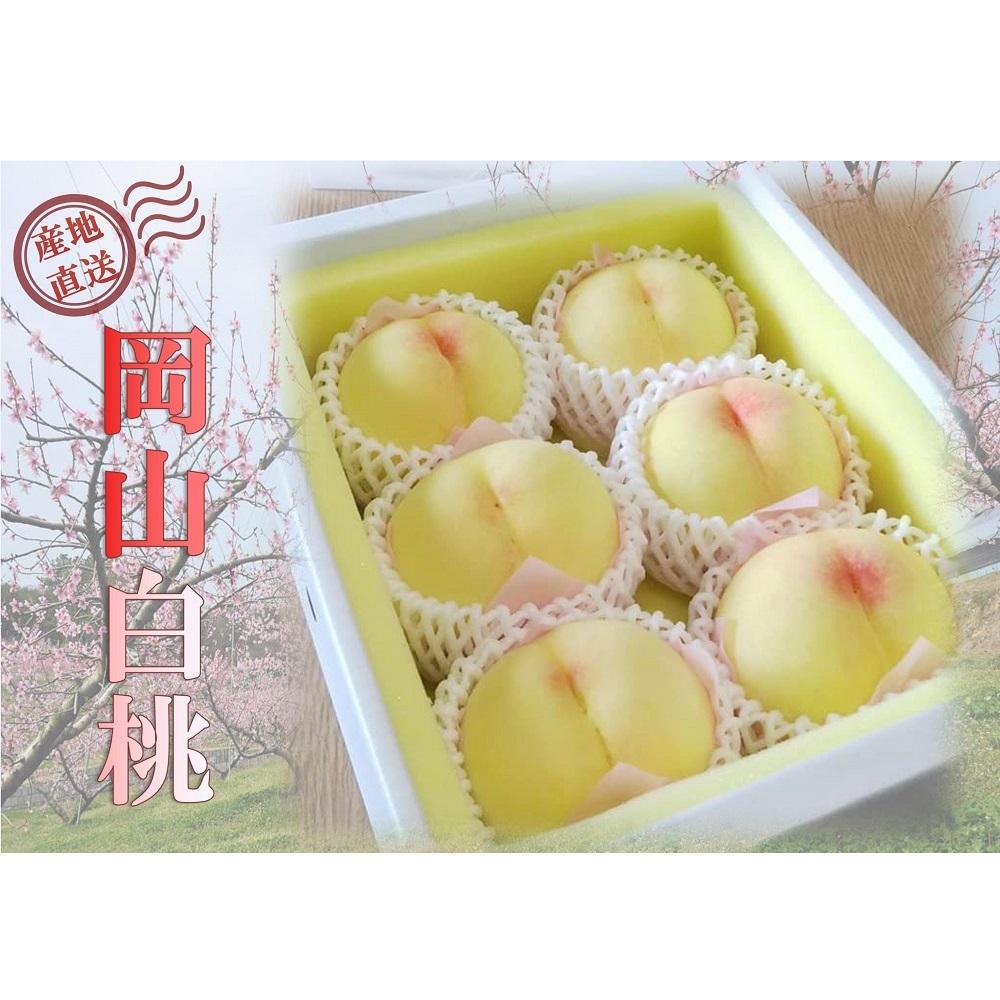 【ふるさと納税】桃 2026年 贈答用 岡山 白桃 約2kg（5～7玉） もも モモ 岡山県 岡山市産 国産 フルーツ 果物 ギフト | もも フルーツ 果物 くだもの 食品 人気 おすすめ 送料無料