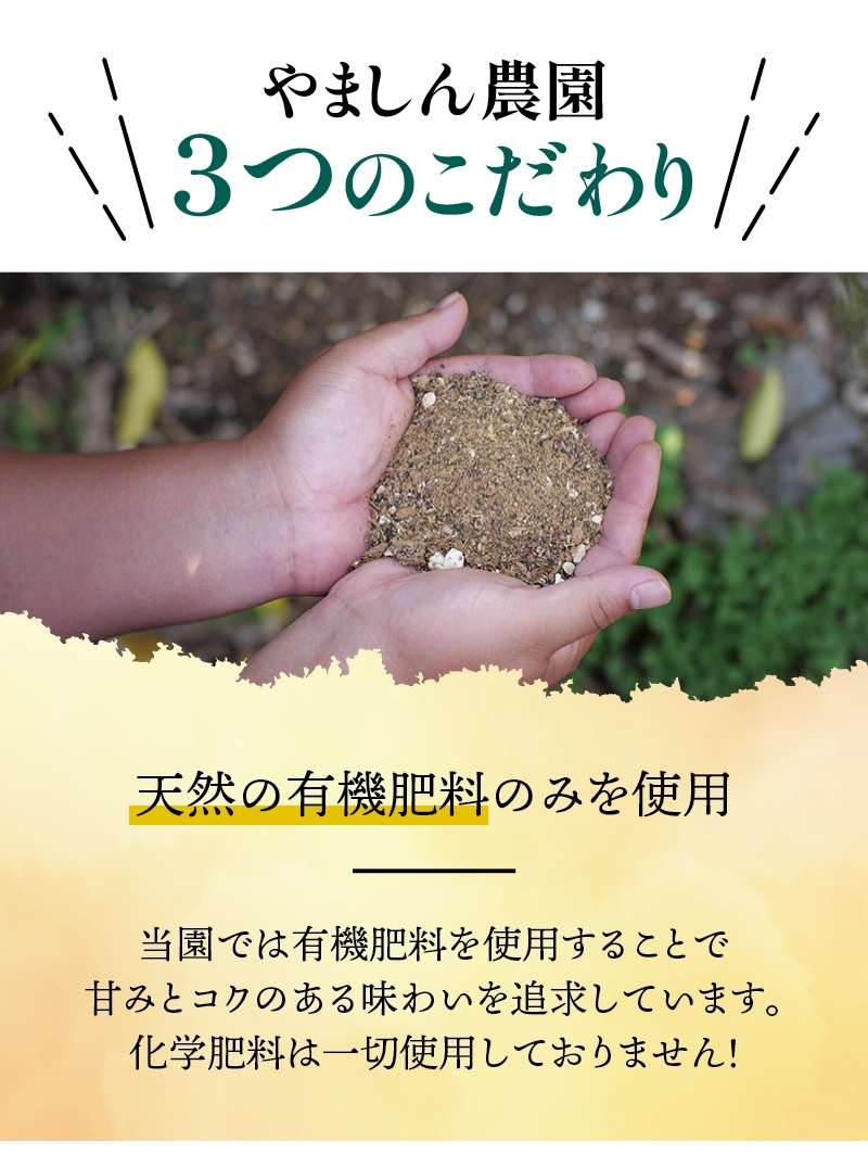 有田 みかん 訳あり 5kg 光センサー 選別 / 温州みかん 有田みかん 甘い 家庭用 和歌山 柑橘 ※1月順次発送 ※北海道・沖縄・離島への配送不可【nuk004-c-5-janD】