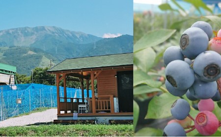 【2026年6月～8月ご利用分】ブルーベリー狩り体験体験チケット（ペア） 