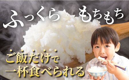 【6回定期便】令和8年産 コシヒカリ 10kg 定期便 精米 白米