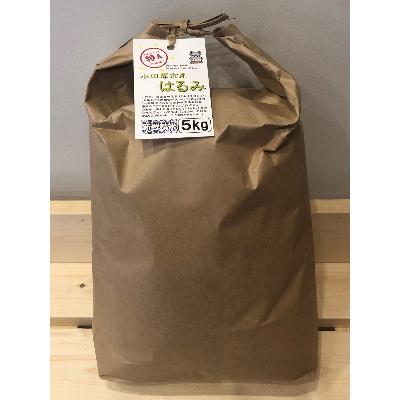 ふるさと納税 小田原市 令和6年産 小田原の米「はるみ」5kg