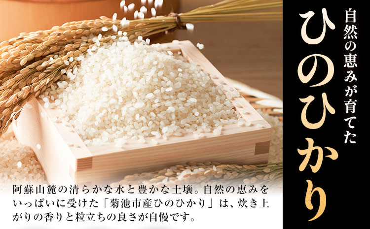 【先行予約】令和8年産 米 ひのひかり5kg 城農園《11月出荷》熊本県 菊池市 ふるさと納税 米 お米 ご飯 ごはん 白ご飯 七城 ひのひかり ヒノヒカリ 令和8年産 菊池米 先行予約 精米 白米