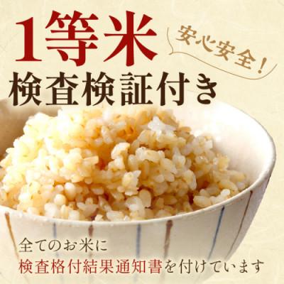 ふるさと納税 京丹後市 2025年産 京都・京丹後峰山 特別栽培米コシヒカリ 10kg 【玄米】 1等米 検査済証付 |  | 03