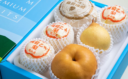 梨 2024年 先行予約 備前横綱梨（あたご梨） 超大玉2玉（1玉1.3kg～1.4kg）・備前乙女梨（鴨梨） 3～4玉 詰合せ 合計4.0kg以上 贈答箱 岡山県産 フルーツ ギフト 石原果樹園