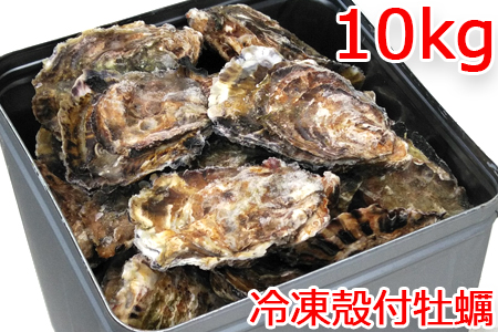 冷凍 殻付 牡蠣 10kg｜朝どれ 冷凍 加熱用 殻付き かき カキ 大粒 生牡蠣 生かき 生がき 生カキ 生ガキ 貝 シーフード オイスター 海産物 海鮮 魚介類 海の幸 海のミルク 濃厚 BBQ バーベキュー カンカン焼き ガンガン焼き かんかん焼き がんがん焼き おおたけカキ 特大サイズ 広島県産 広島湾 大竹市 玖波 宮島 瀬戸 国産 産地直送 [1378]
