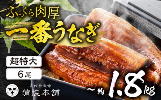 超特大 国産うなぎ 蒲焼 6尾 詰め合わせ 蒲焼 ウナギ 4尾 4尾 6尾 うなぎ 鰻 ウナギ unagi 土用 丑の日 国産 国産うなぎ 若うなぎ カネナカ うなぎのカネナカ 蒲焼 タレ付 長焼 お祝い 誕生日 お歳暮 お中元 高級 プレゼント 鰻 うなぎ ウナギ ギフト