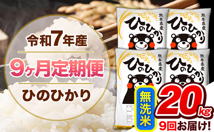 【9ヶ月定期便】令和7年産 無洗米 定期便 ひのひかり 20kg 《お申込み翌月から出荷》 熊本県産 ふるさと納税 精米 ひの 米 こめ ふるさとのうぜい ヒノヒカリ コメ 熊本米 ひのもり