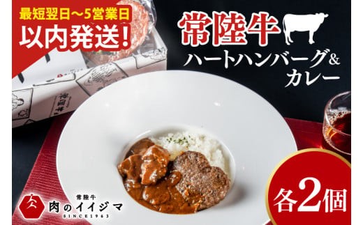 
                   常陸牛ハートハンバーグ100g×2個 常陸牛カレー2個 詰め合わせセット レトルトカレー 化粧箱 国産牛 黒毛和牛 父の日 お取り寄せ お祝い 内祝い 出産 結婚 快気祝いプレゼント 誕生日 ギフト対応  茨城県 水戸市 肉のイイジマ（DU-130）
                