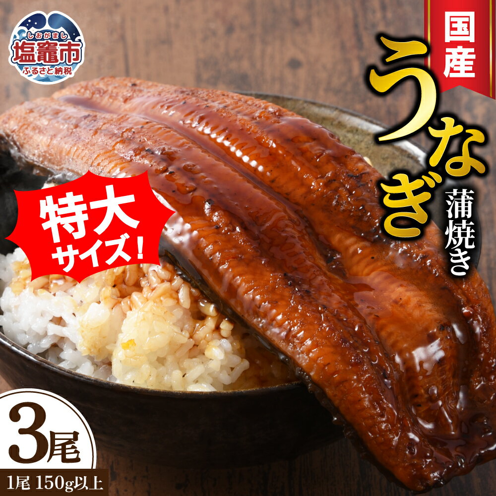 【ふるさと納税】 鰻 うなぎ 蒲焼き 国産 3尾 セット (計450g) 冷凍 ふっくら 肉 厚 蒲焼 国産うなぎ 魚介 魚 うなぎの蒲焼き 蒲焼長焼 ご褒美 惣菜 丑の日 人気 冬うなぎ おすすめ うなぎ蒲焼き 塩竈市 塩釜市 三波食品