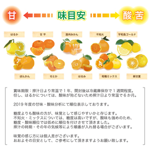 ストレートみかんジュース 720ml × 4本 吉田みかんの産直ショップみずき ジュース H012-074001