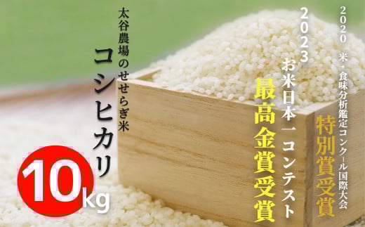 《令和7年産・新米》太谷農場のせせらぎ米 コシヒカリ10kg /長野県白馬村産  2025年産  米  コメ 玄米 2023年特別最高金賞受賞  コンクール受賞 お米 ご飯 ごはん 送料無料【B0100221】