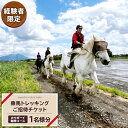 【ふるさと納税】《経験者限定》 カウボーイ 珈琲コース 乗馬 トレッキング 体験チケット アウトドア