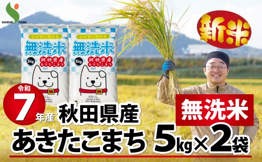 【新米】令和7年産秋田県産あきたこまち(無洗米)10kg 150P9202　/ 米 無洗米 10kg 白米 令和7年産 秋田県産 あきたこまち 5kg×2袋 おにぎり 大館 東北 秋田 小分け こわけ 大館市 10キロ 10ｷﾛ 10きろ