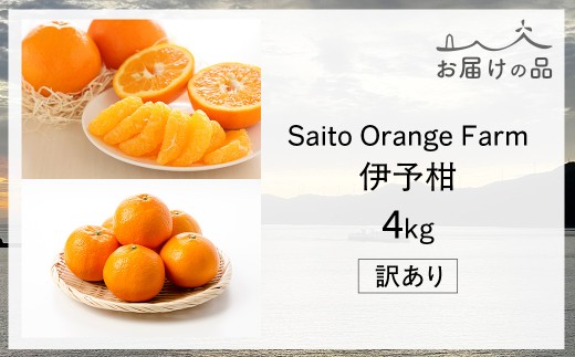 【先行予約】Saito Orange Farm　お徳・訳あり用　伊予柑4kg ｜ 柑橘 みかん ミカン フルーツ 果物 伊予柑　宮内伊予柑　 愛媛　　※2027年1月上旬頃より順次発送予定 【ふるさと