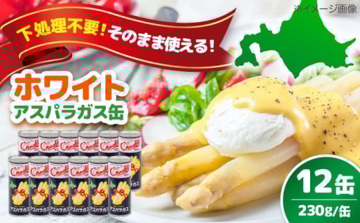 【北海道産】 ホワイトアスパラガス 12缶《喜茂別町》【きもべつ観光協会】 アスパラ アスパラガス ホワイトアスパラ 缶詰 缶 サラダ 北海道 常温 常温配送 [AJAG012] 40000 40000円 4万円