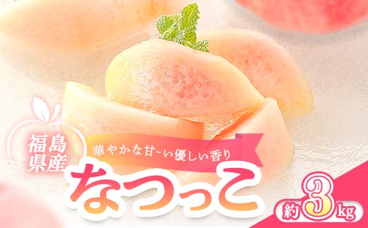 
                  【2026年出荷分】福島県伊達市産 なつっこ 約3kg (9～10玉) 株式会社大喜 伊達の桃 桃 フルーツ 果物 もも モモ momo F21C-508
                