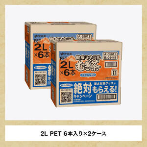 【定期便】伊藤園 健康ミネラル むぎ茶 2L×6本×2ケース PET 6ケ月定期便【お茶 麦茶 ムギ茶 飲料  水分補給お茶 ソフトドリンクお茶 備蓄お茶 ペットボトルお茶 カフェインゼロ カロリーゼ