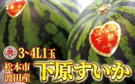 【先行受付：7月発送】スイカ 下原すいか 信州 松本波田産 3～4L ( 8kg ～ 11kg ) × 1玉 | フルーツ 夏 スイカ 西瓜 大玉スイカ シャキ感 甘い ふるーつ 果物 野菜 長野県 松本市 信州産 人気 ふるさと納税