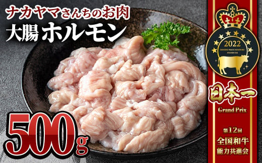 2544 【ナカヤマさんちのお肉】うしの中山 ホルモン（大腸）500g（500g×1袋） 鹿児島 黒毛和牛 和牛 牛肉 肉 国産 冷凍 ホルモン ホルモン焼 鍋 もつ鍋 煮込み おつまみ 炒め物