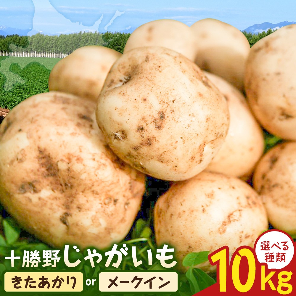 
                  【2026年秋出荷】先行予約 十勝野じゃがいも 10kg 選べる きたあかり メークイン 詰め合わせセット 按田農場《2026年10月中旬-11月末頃出荷》北海道 豊頃町 十勝野 じゃがいも セット 農家直送 数量限定
                
