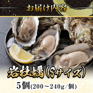 ＜平日着※指定日不可＞＜先行予約受付中！3月中旬～4月下旬発送予定＞岩牡蠣(養殖)Sサイズ(5個) 魚介 海鮮 海の幸 かき カキ オイスター 三光水産 養殖 冷蔵 【sm-DD004・sm-DD00