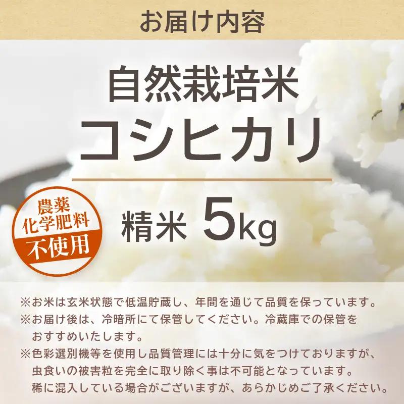 【先行予約】【令和8年産】コシヒカリ 精米 5kg 化学肥料 農薬不使用 自然栽培米 / 北陸 福井県産 あわら市 ブランド米 白米 お米 コメ ※2026年10月上旬以降順次発送予定 [aw138-