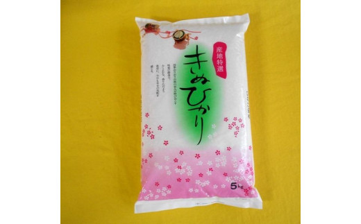 
            和歌山県産キヌヒカリ 5kg (2024年産)【SL16】
          