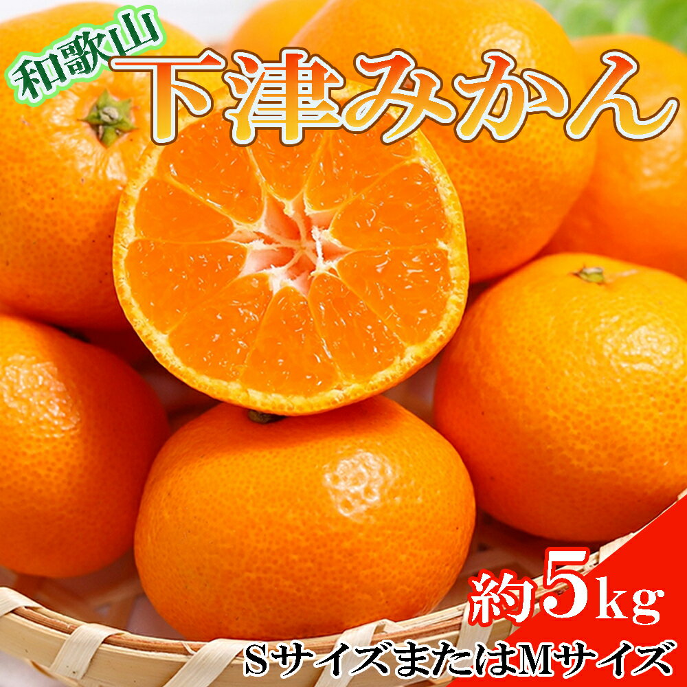 【ふるさと納税】 【産直・秀品】和歌山下津みかん約5kg(SサイズまたはMサイズのいずれかをお届け) 【2026年11月中旬～2027年1月中旬頃に順次発送】【TM73】