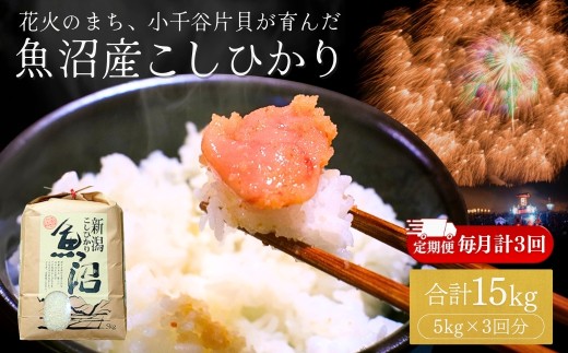 【コシヒカリ 定期便】令和7年産 魚沼産コシヒカリ 5kg × 3回 (計15kg) 米萬商店 | 毎月お届け 四尺玉の町・片貝産 新潟 白米 3ヶ月コース 頒布会 産地直送 ブランド米 老舗米屋の厳選米 新潟県産コシヒカリ 新潟県産こしひかり 魚沼コシヒカリ お米 米 こしひかり 白米 精米 ブランド米 特A評価 新潟県 小千谷市【0002-KM03DB00-03】