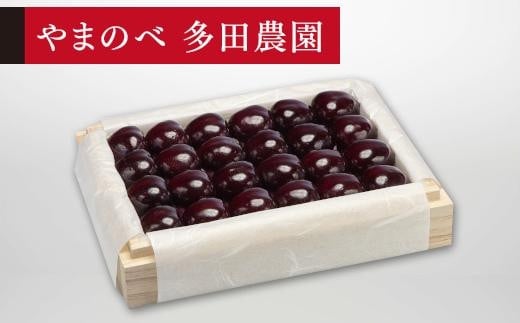 【特選サミット】桐箱詰 約300g【やまのべ多田耕太郎のさくらんぼ 多田農園】