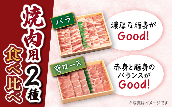 【6回 定期便 】 焼肉 豚 大西海 SPF豚 背ロース ＆ バラ （ 焼肉 用）計1.3kg（各650g） ＜大西海ファーム＞ [CEK045] 焼肉 焼肉 肉 食品 肉類 国産 豚肉 食べ比べ こ