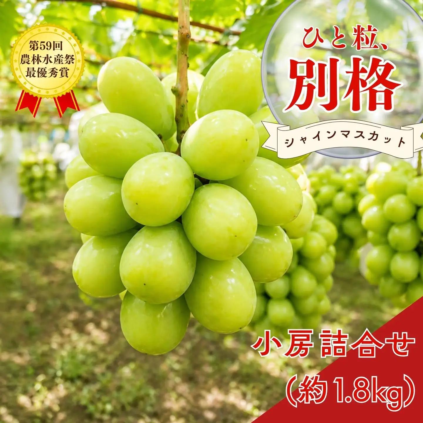 ＊先行予約＊　シャインマスカット 小房詰め合わせパック 約600g×3 約1.8kg [2026年発送分] 令和8年 シャインマスカット 新潟県三条市 果物 こひなた果樹園]