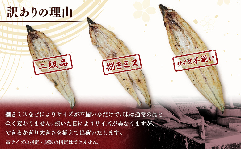 【訳あり】うなぎ白焼き 訳あり 不揃い 合計1kg（4～10尾入り）玄人の一品 バラツキ 数量限定 宮崎県産 冷凍 蒲焼タレ付【E224】