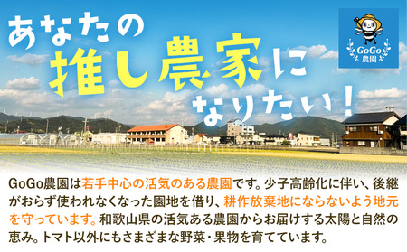 みかん ゆら早生みかん ご家庭用 5kg サイズ混合 GOGO農園《10月上旬-11月末頃出荷》 和歌山県 日高川町 ゆら早生みかん みかん 早生 柑橘 蜜柑 フルーツ 送料無料