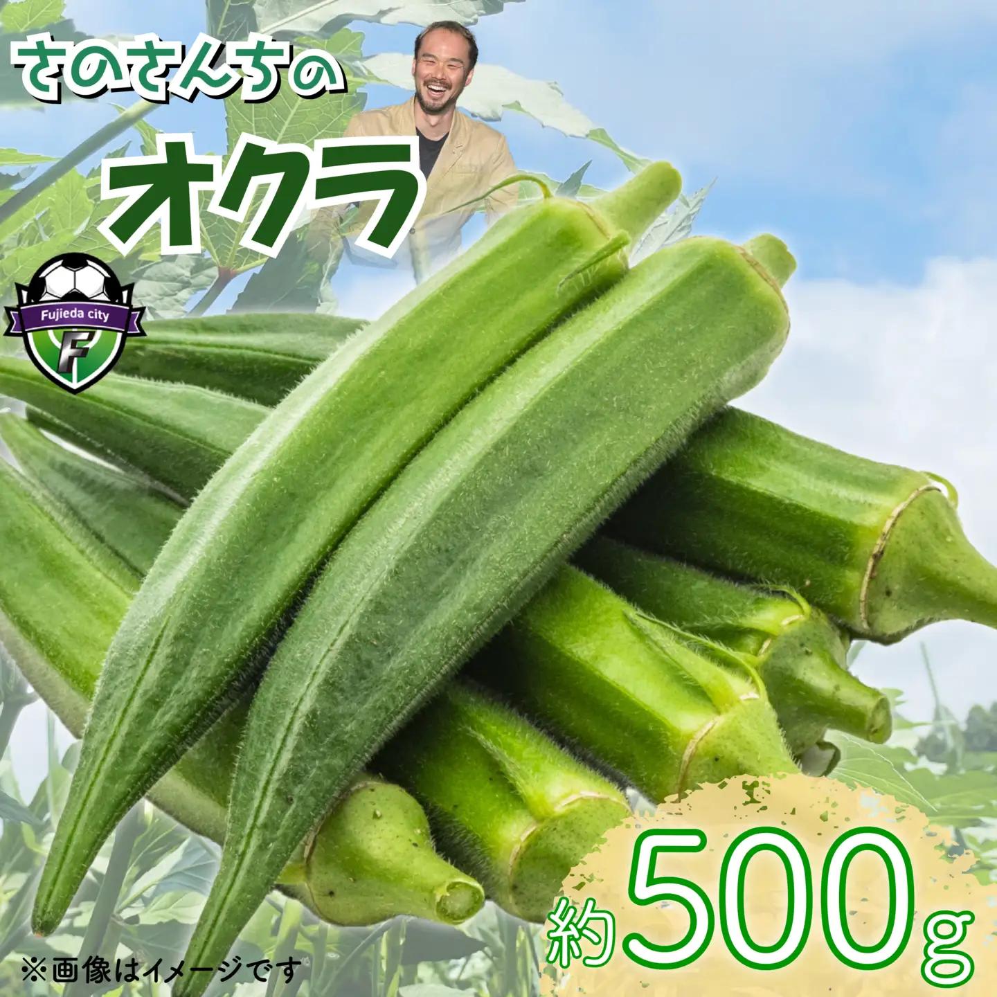 オクラ 500g オクラ