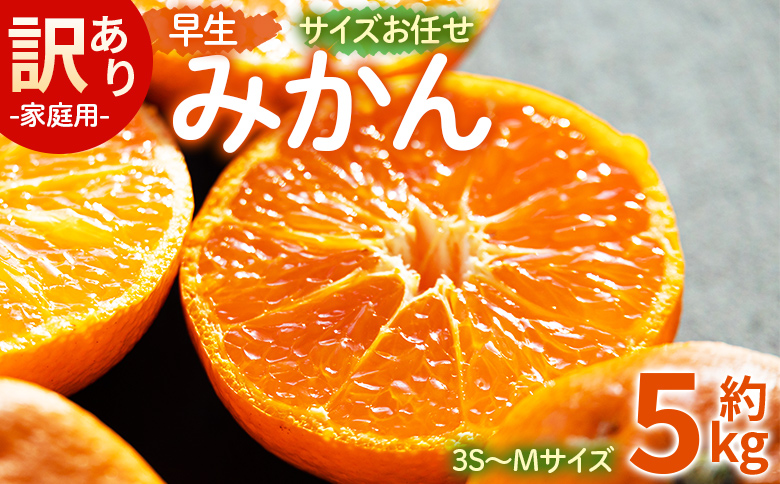 【2026年11月より順次配送】訳あり(家庭用) サイズお任せ 早生みかん 5kg 3S〜Mサイズ - 訳アリ フルーツ 果物 くだもの 果実 甘い あまい 酸味 蜜柑 ミカン be-0119