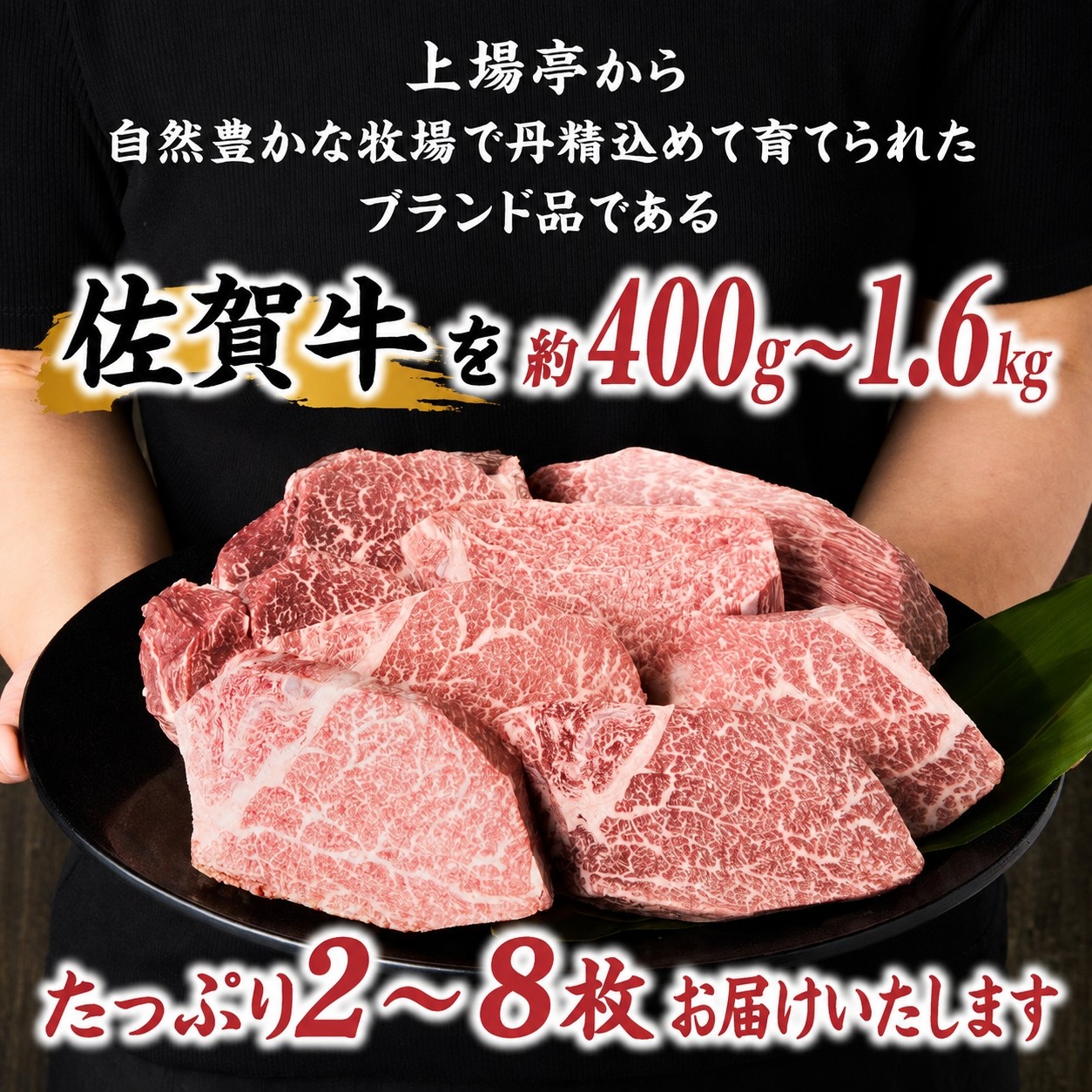 佐賀牛ヒレステーキ 約400g～1.6kg