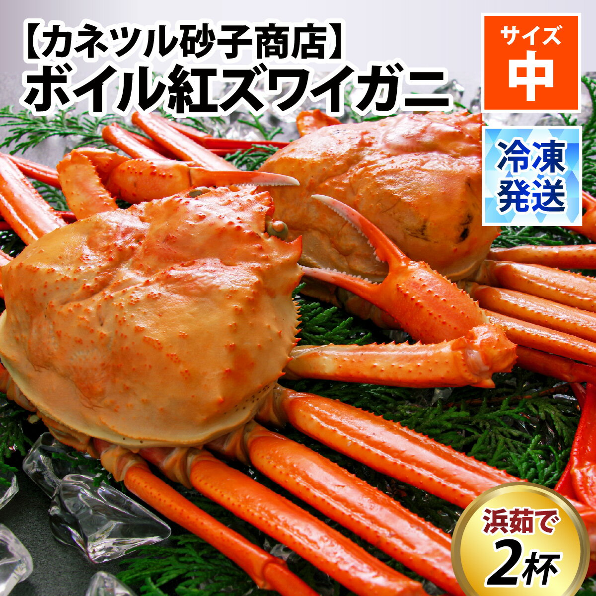 【ふるさと納税】発送時期が選べる【冷凍】ボイル紅ズワイガニ / 訳あり ずわいがに 紅ずわいがに ズワイガニ カニ 冷凍配送 チルド ブランド蟹 高志の紅ガニ 北陸 カネツル砂子商店【能登半島地震復興支援】 ゆで蟹 焼きがに ギフト 送料無料 富山県 滑川市 国産 茹で蟹