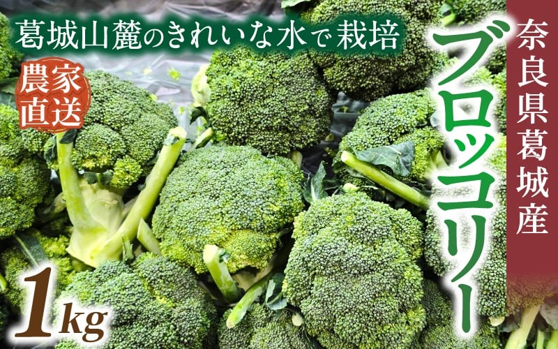 
                  奈良県葛城産 ブロッコリー 約1kg 【2025年11月上旬～5月下旬順次発送】／ スマイル葛城農業 大和野菜  ブロッコリー 農家直送 産直 新鮮 旬 名産 健康 美容 栄養 奈良県 葛城市【smlk067】
                