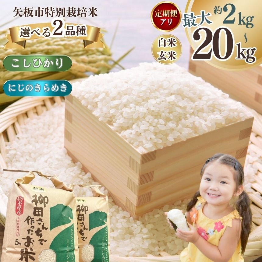 【ふるさと納税】[選べる定期便、グラム数] 矢板市特別栽培米 こしひかり にじのきらめき 玄米 白米 2kg 5kg 10kg 20kg | お米 米 こめ 白米 玄米 にじのきらめき コシヒカリ こしひかり 美味しい お弁当 選べる 環境 手間暇 ふるさと 納税 栃木県 矢板市