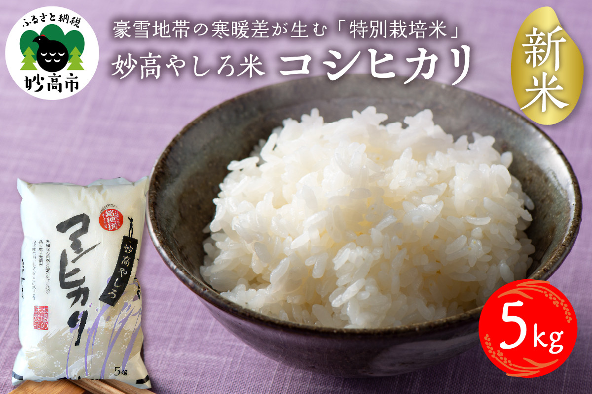 
            令和7年産 新潟県 妙高やしろ米 コシヒカリ 5kg 【11月中旬より発送】 お米 米 コメ 精米 新潟 妙高市 米どころ こめ ご飯 ごはん ライス 弁当
          