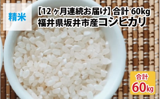 【先行予約】【令和7年産・新米】【12ヶ月連続お届け】福井県坂井市丸岡町産 コシヒカリ5kg×12回 計60kg（精米）【2025年10月より順次発送予定】 [N-11301_03]
