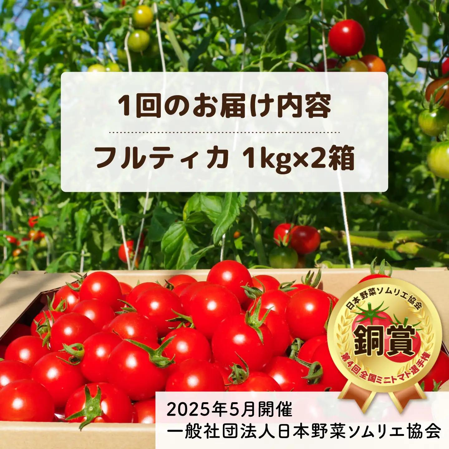 【先行予約】【全3回定期便】 フルティカ 2kg (1kg×2箱)  糸島市 / かわぞえ農園 【2026年11月以降順次発送】[AAM012]