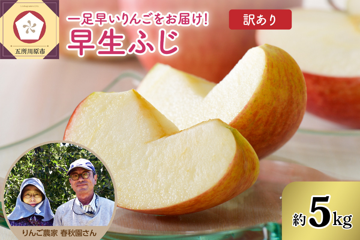 
                  【先行予約 2026年10月上旬発送】【訳あり】りんご（早生ふじ）5kg 春秋園 青森【家庭用 リンゴ 訳アリ 林檎 早生フジ ワケアリ】
                