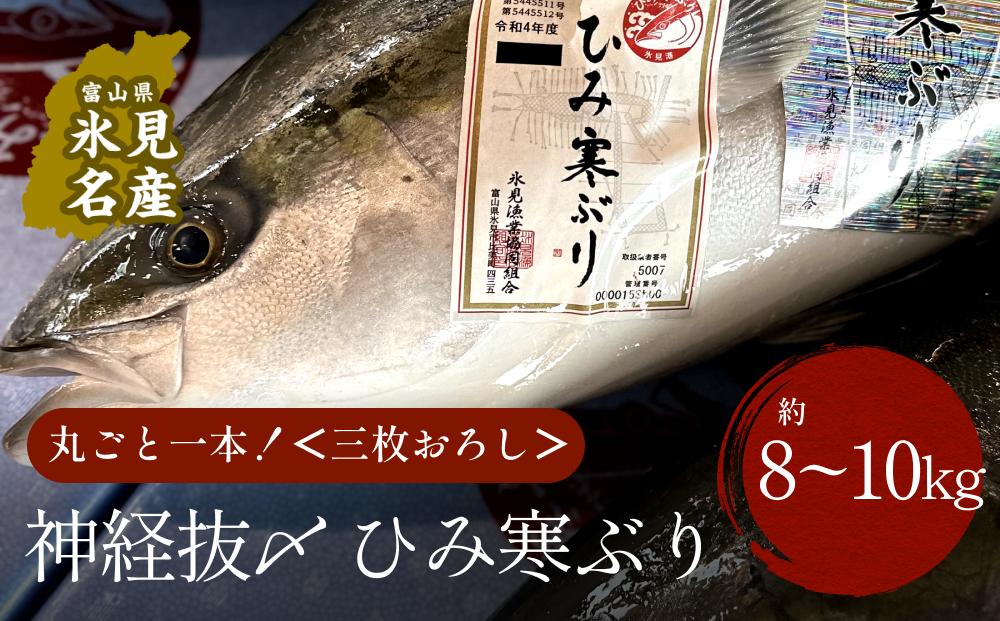 
【先行予約】ひみ寒ぶり 朝どれ1本 三枚おろし（神経抜〆：8～10kg）【半七】※配送地域限定 ｜富山湾 氷見 氷見漁港 能登 寒ブリ １本 天然鰤 天然 鮮魚 ブリ 産地直送 期間限定
