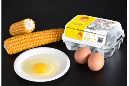竹内養鶏場の白いたまご「米艶」と黄色いたまご「玉艶」セット【B27】