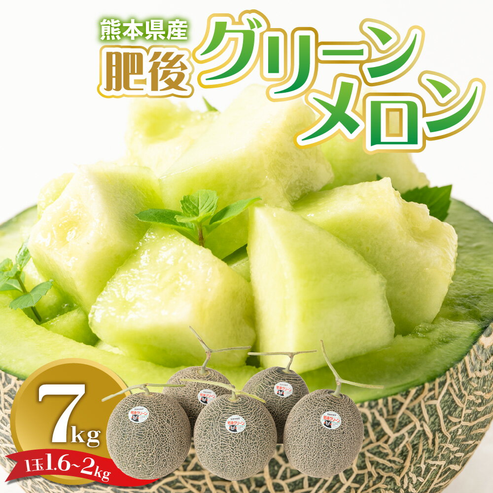 【ふるさと納税】 【先行予約】 熊本県産 肥後グリーンメロン 約7kg (1玉1.6～2kg) 高糖度 16度～17度 メロン フルーツ 果物 果実 九州 送料無料 【2025年6月上旬より順次発送】