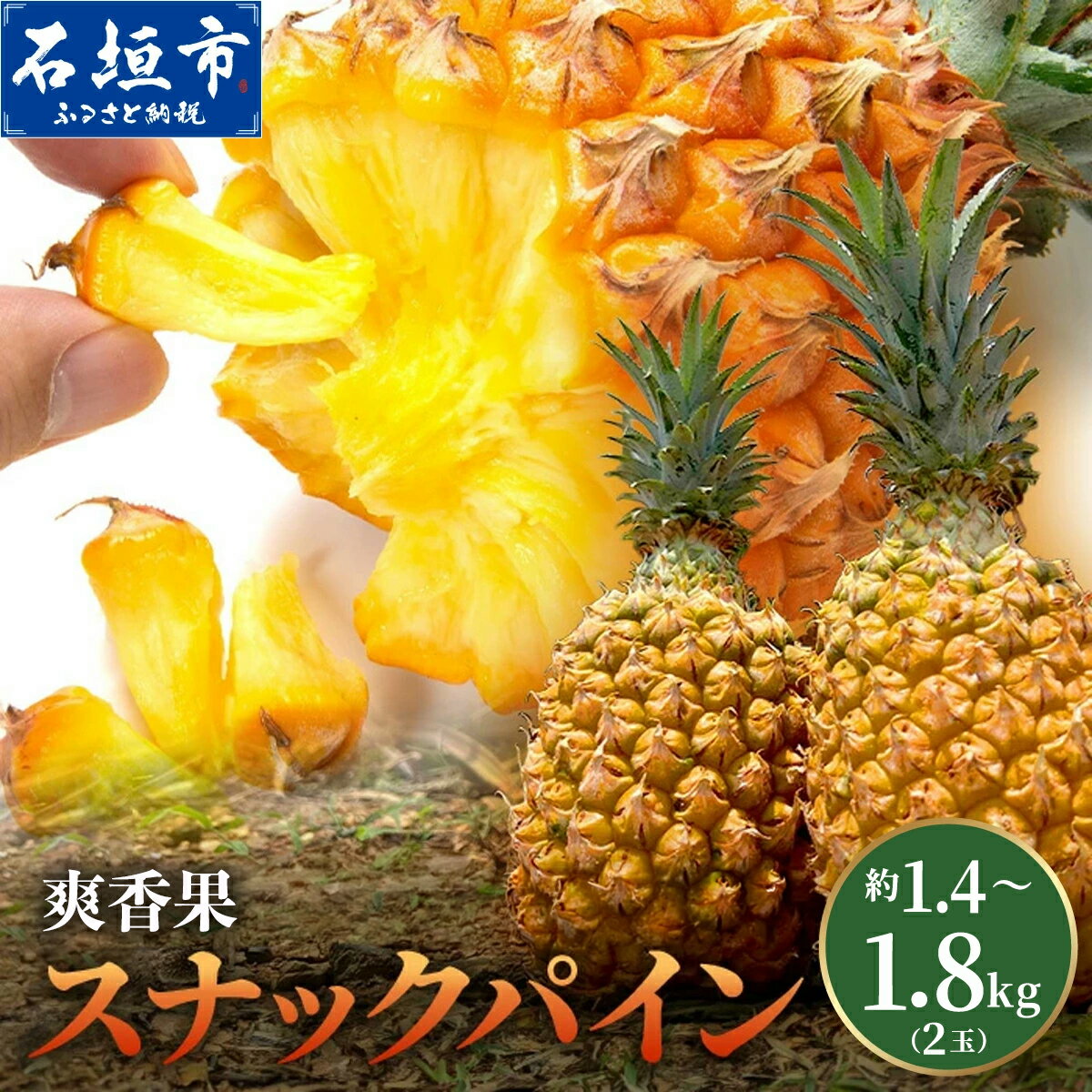 【ふるさと納税】《2027年4月上旬以降発送》爽香果 スナックパイン 約1.4〜1.8kg (2個) | 沖縄 石垣島 石垣 八重山 パイン パイナップル 期間限定 数量限定 産地直送 送料無料 TF-023 TF-114