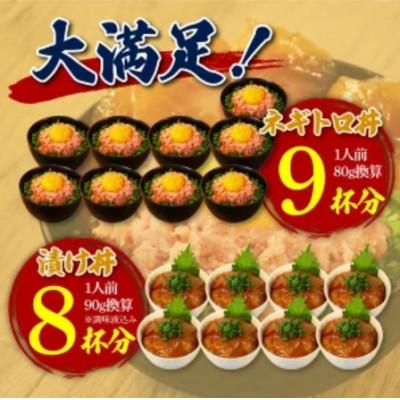 ふるさと納税 高知市 ネギトロ 約80g×9パック+マグロの漬け 約90g×8パック【BX051】