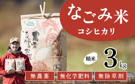 【11月発送】茨城県下妻市産 なごみ米 （ コシヒカリ ） 精米 3kg 【 お米 コシヒカリ 米 無農薬 無化学肥料 無除草剤 精米 ブランド米 茨城県産 】